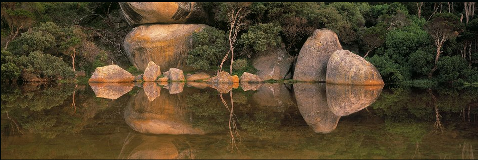 contemplation 1